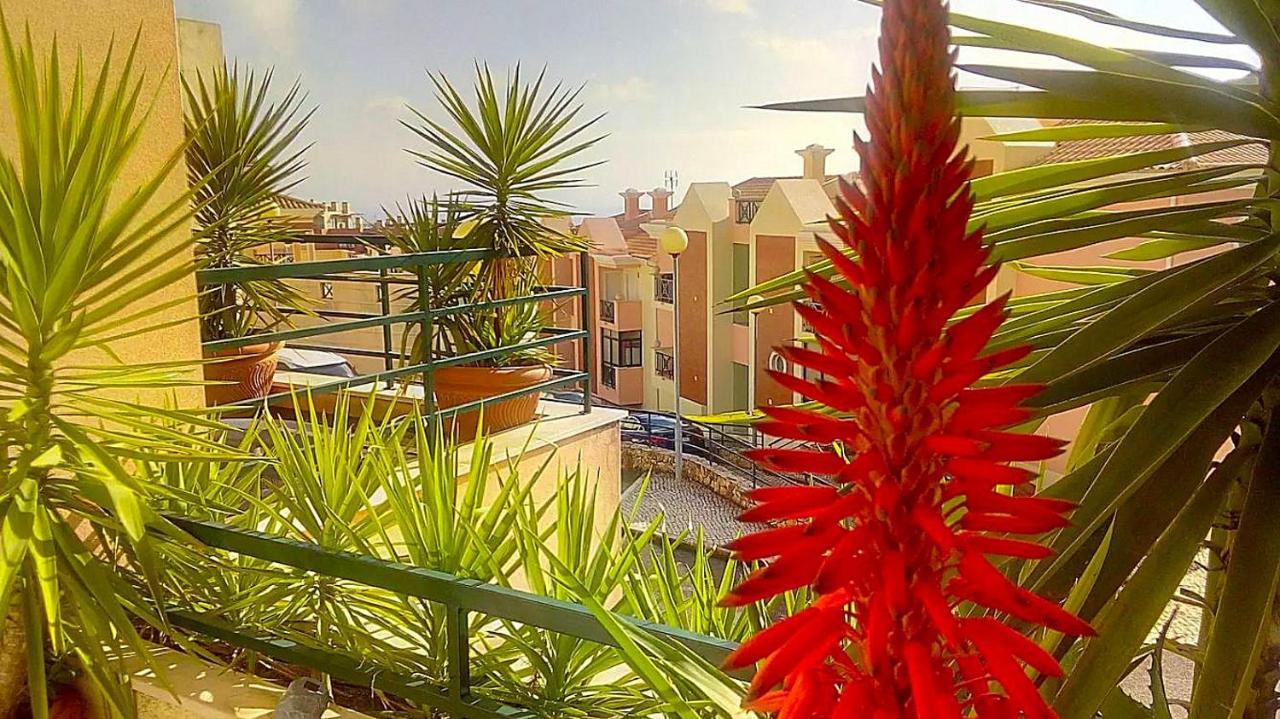 Oceanview Duplex Shared Pool & * Sesimbra